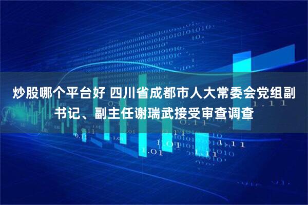 炒股哪个平台好 四川省成都市人大常委会党组副书记、副主任谢瑞武接受审查调查